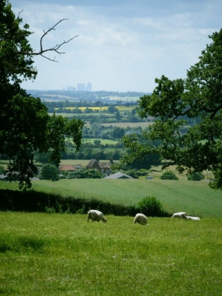  Con vistas a nuestros terrenos 